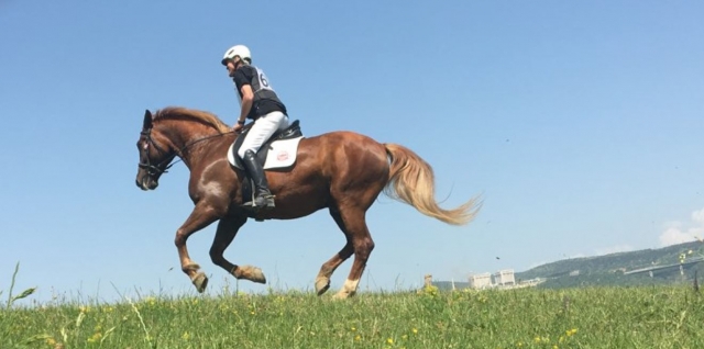  Subir nuestro caballo 