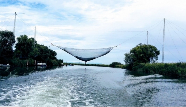 Reservación natural