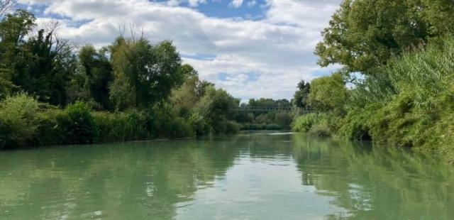 Naturaleza del lugar