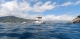 Renta de Barcos Loano
