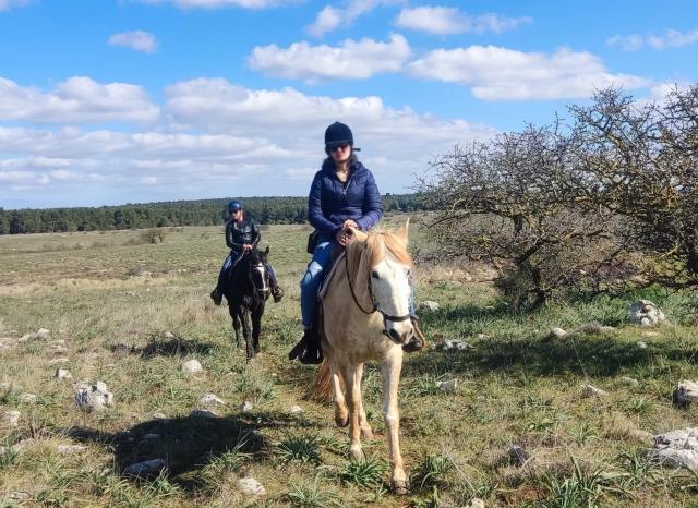  A caballo en el Parque Nacional de Alta Murgia 