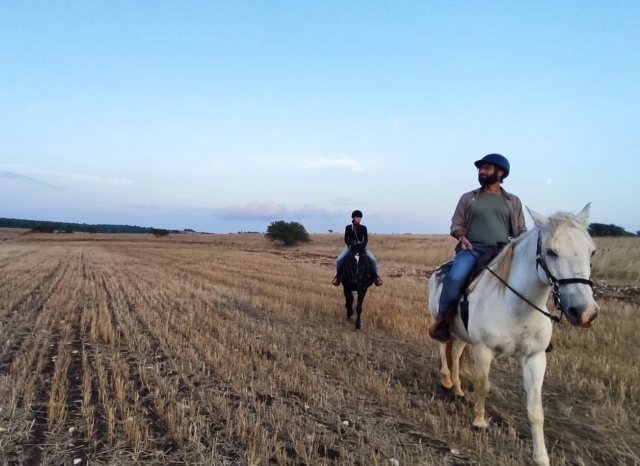  Paseo por el Parque Nacional Alta Murgia