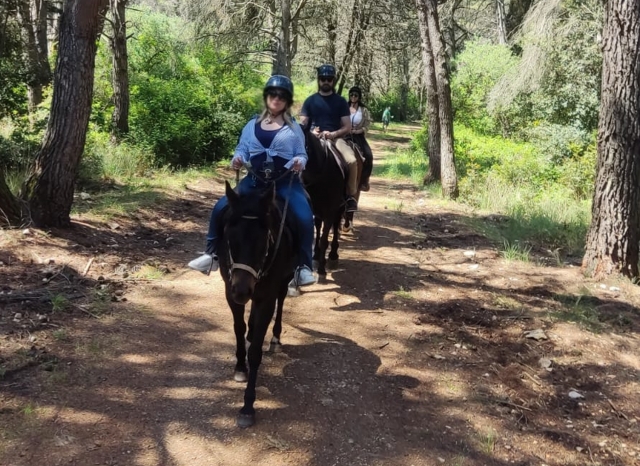  Paseo por el Bosque de Mercadanle 
