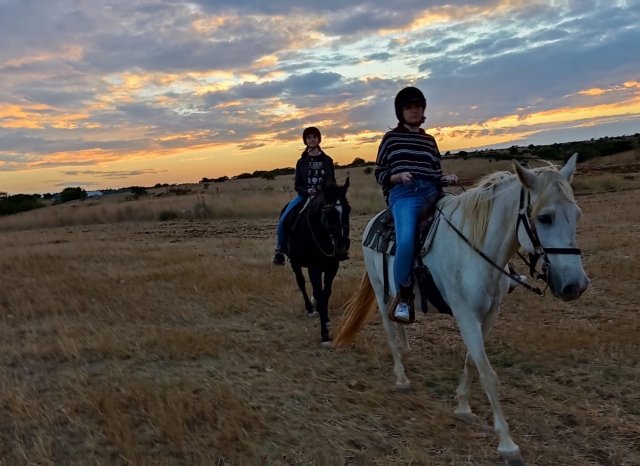  Cabalgamarras por los campos de Alta Murgia 