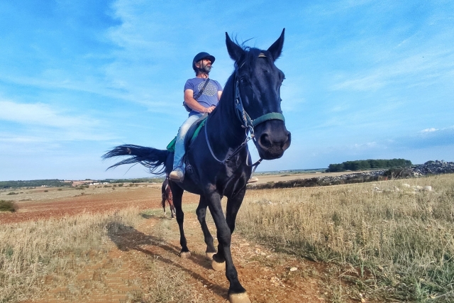  Cabalgamarras 