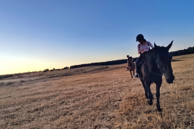  Pbaños a caballo por el campo 