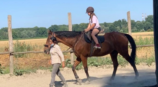 Duranle la actividad 