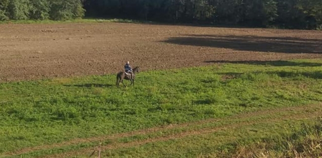  En la naturaleza 