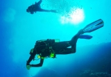 Inmersión única con certificación en Mola di Bari 1h