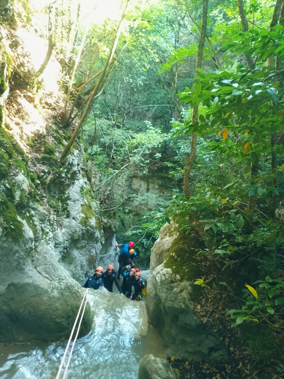  En la naturaleza verde, entre cursos de agua naturales 
