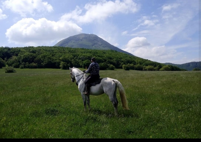  en la cerro 