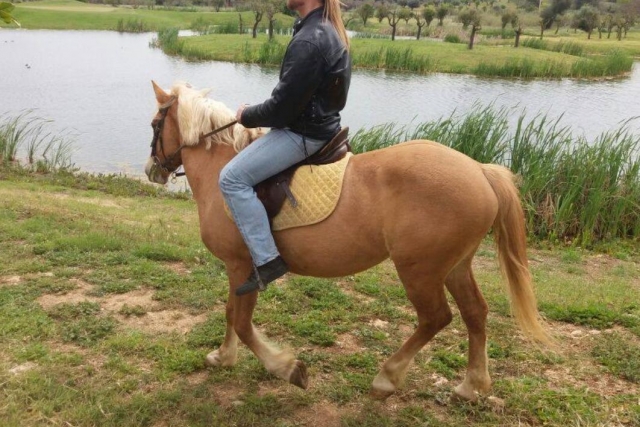  paseo a caballo 