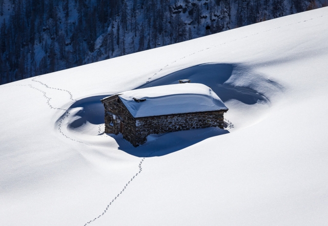  refugio 