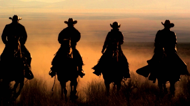  juntos al atardecer 