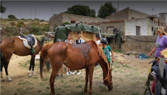 caballos y niños felices