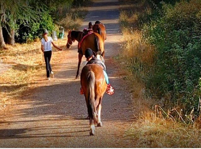 lindo paseo a caballo 