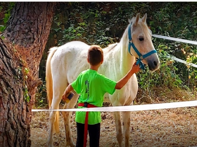  debemos amar a los animales 