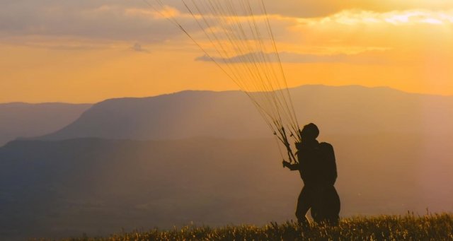  parapenle 