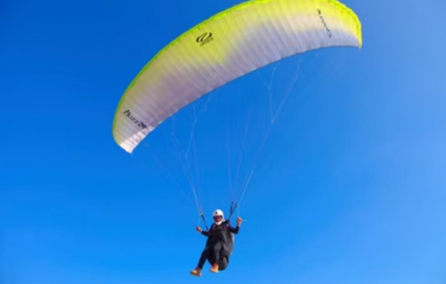  parapenle 