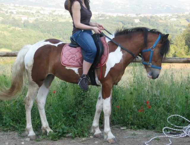  en la silla 