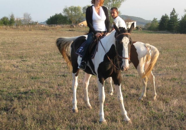  paseo en pareja 