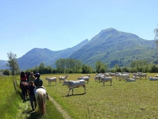Paseo a caballo en el Valle de Stura + Aperitivo 2h30
