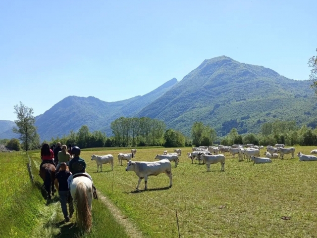 Paseo a caballo en el Valle de Stura + Aperitivo 2h30