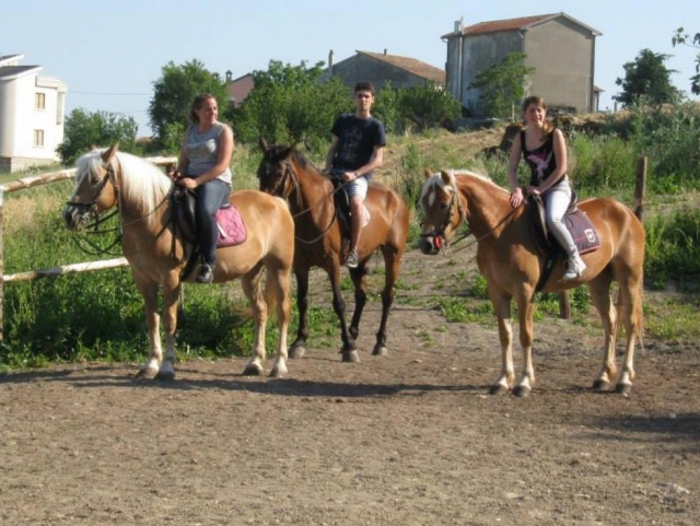 todo a caballo 