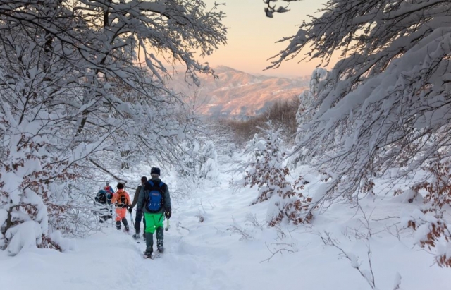 con raquetas de nieve en grupo 