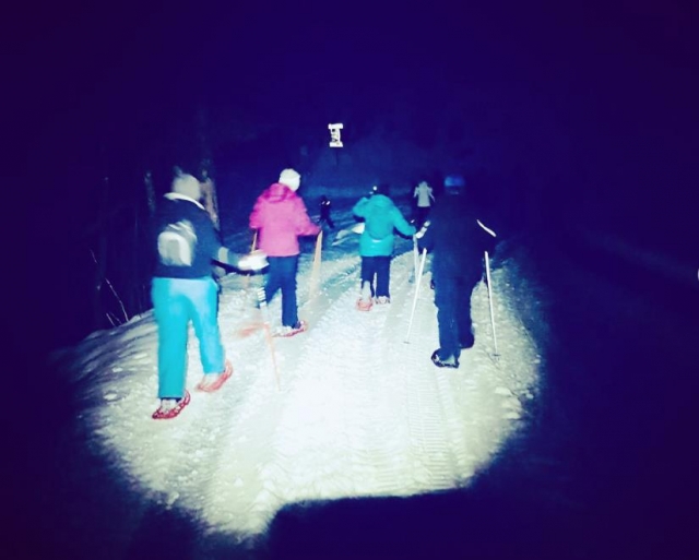 raquetas de nieve nocturna 