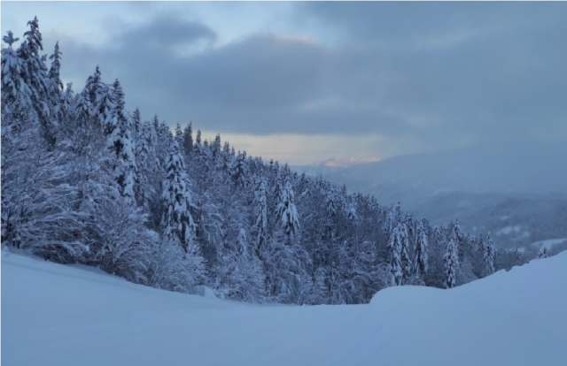  Escenarios invernales toscanos 