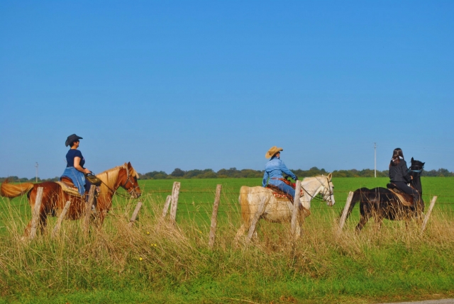  Inmerso en la naturaleza 