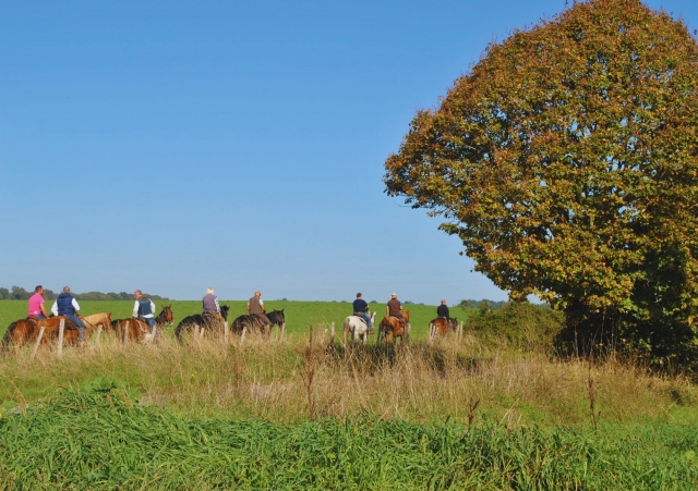  Inmerso en la naturaleza 