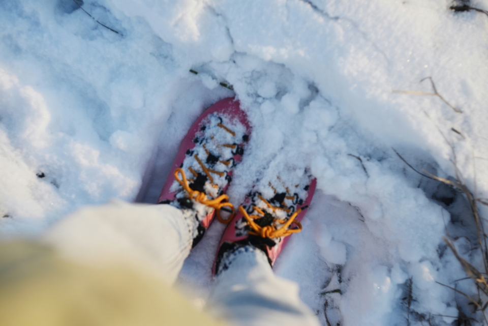  Raquetas de nieve en una excursión 