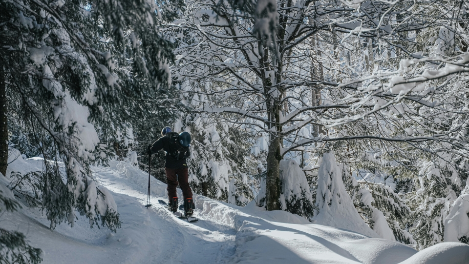  Excursión con raquetas de nieve