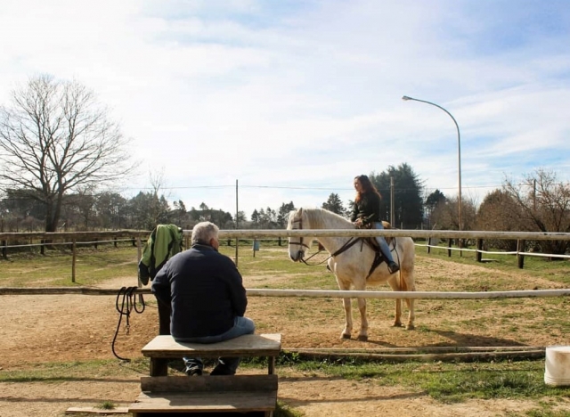 Nuestras hermosas caballerizas 