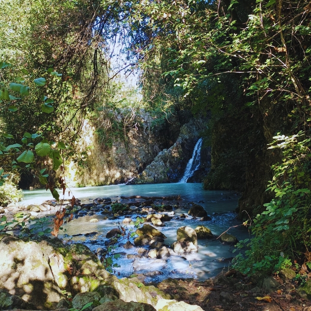Ford de Sant'Antonio 