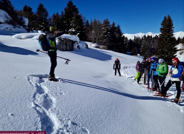  raquetas de nieve 