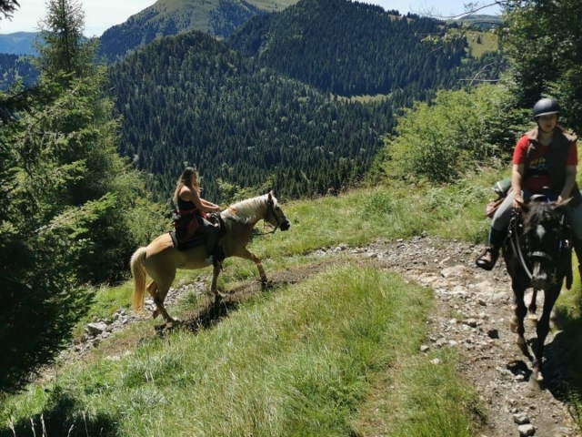  Cabalgamarras en tranquilidad 