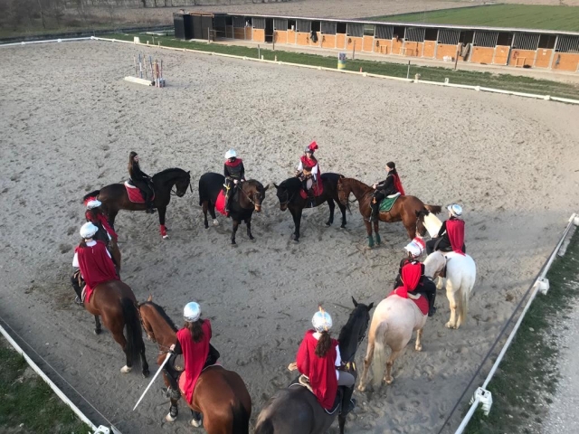 Clases de equitación 
