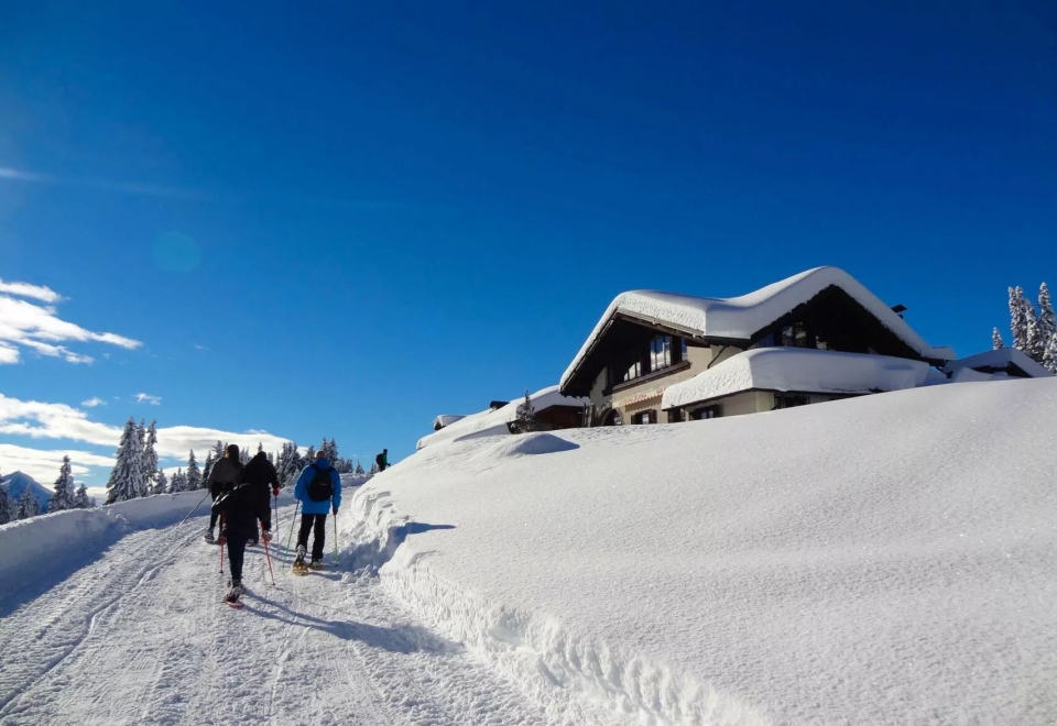  Ruta con raquetas de nieve Refugio Zeledria