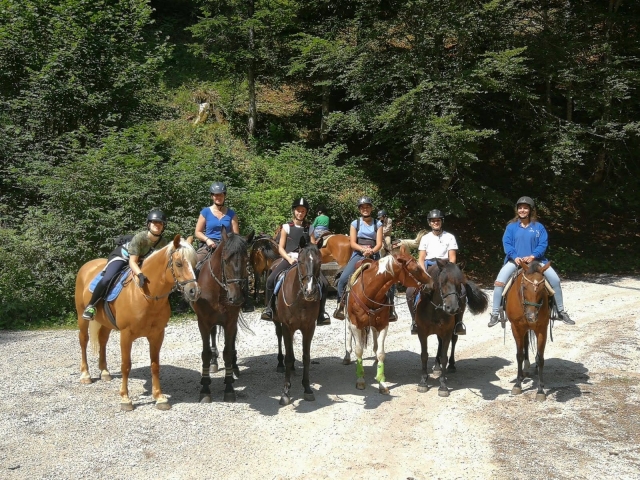  familia de caballos en mantua 