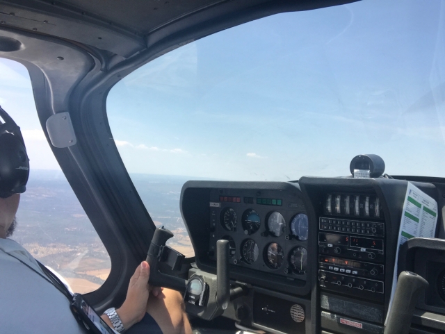 Piloto experimentado