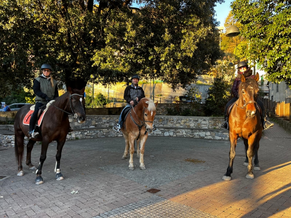  Salida desde la escuela de equitación para la actividad de cabalgamarra 