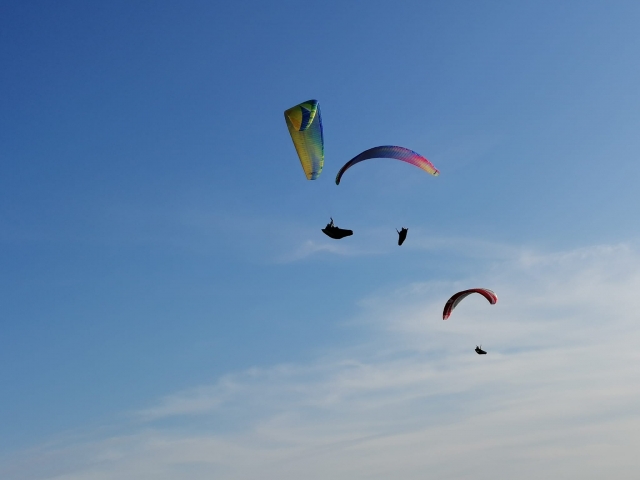  Parapenle 