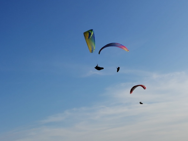  Experiencia en parapenle 