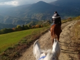 Tour a caballo de 1 hora por los Apeninos toscano-emilianos