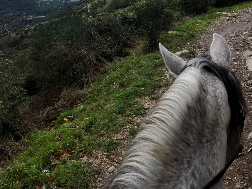 Pbaños a caballo en el verde