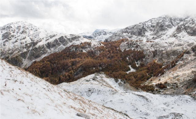  paisaje de cerro Monle Autore