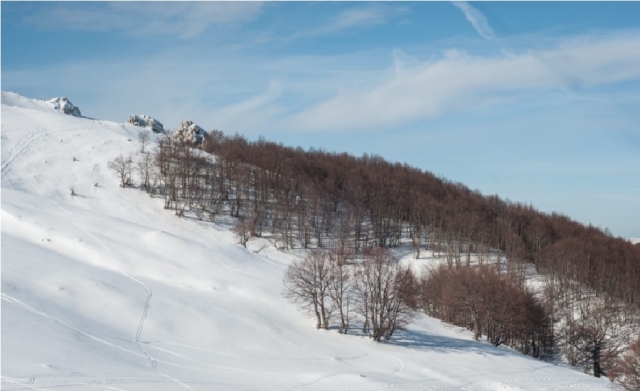  paisajes nevados en Campitellino